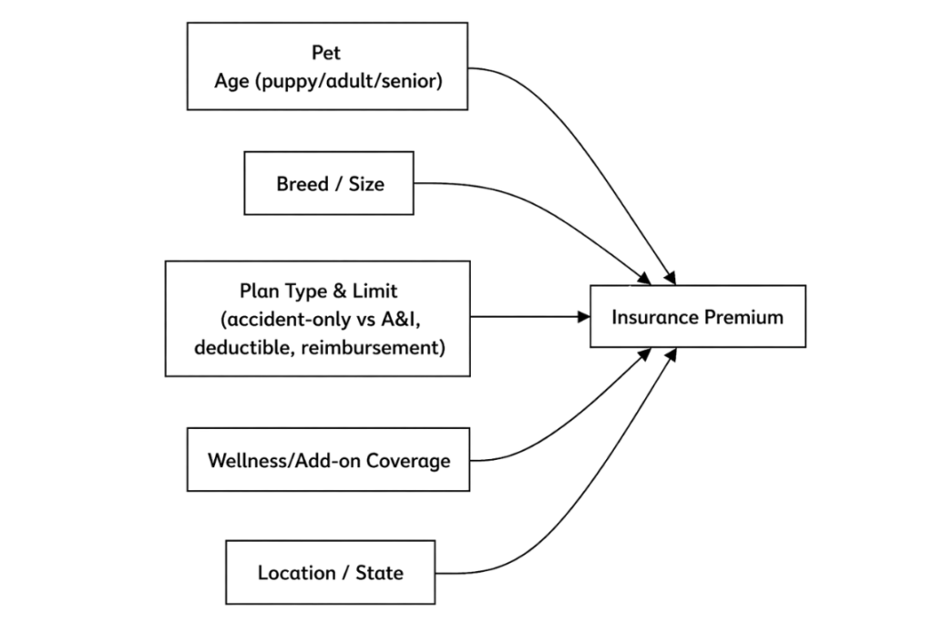 Factors Affecting Pet Insurance | PetInsureNow